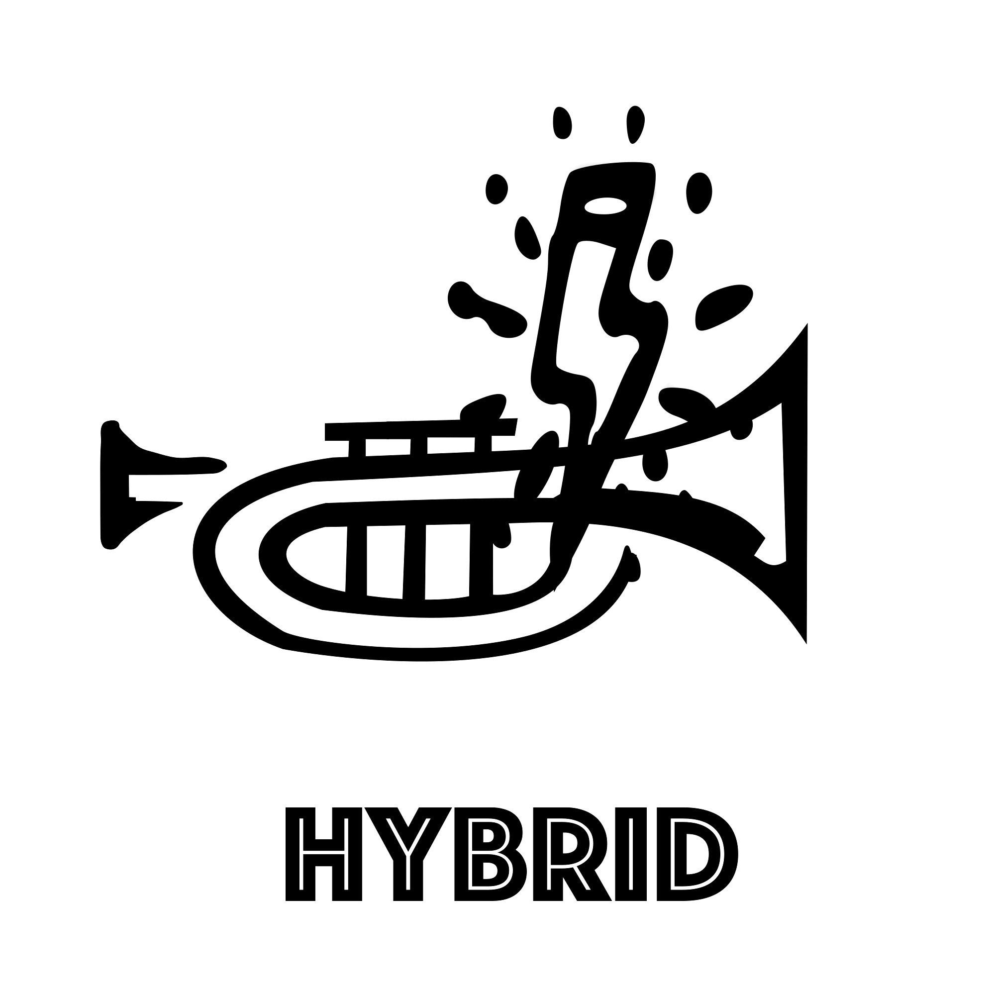 Hybrid-Collection